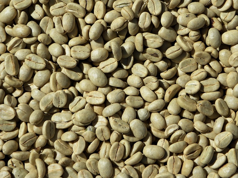 grãos de café verde