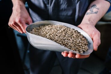 café verde emagrece quantos quilos por semana